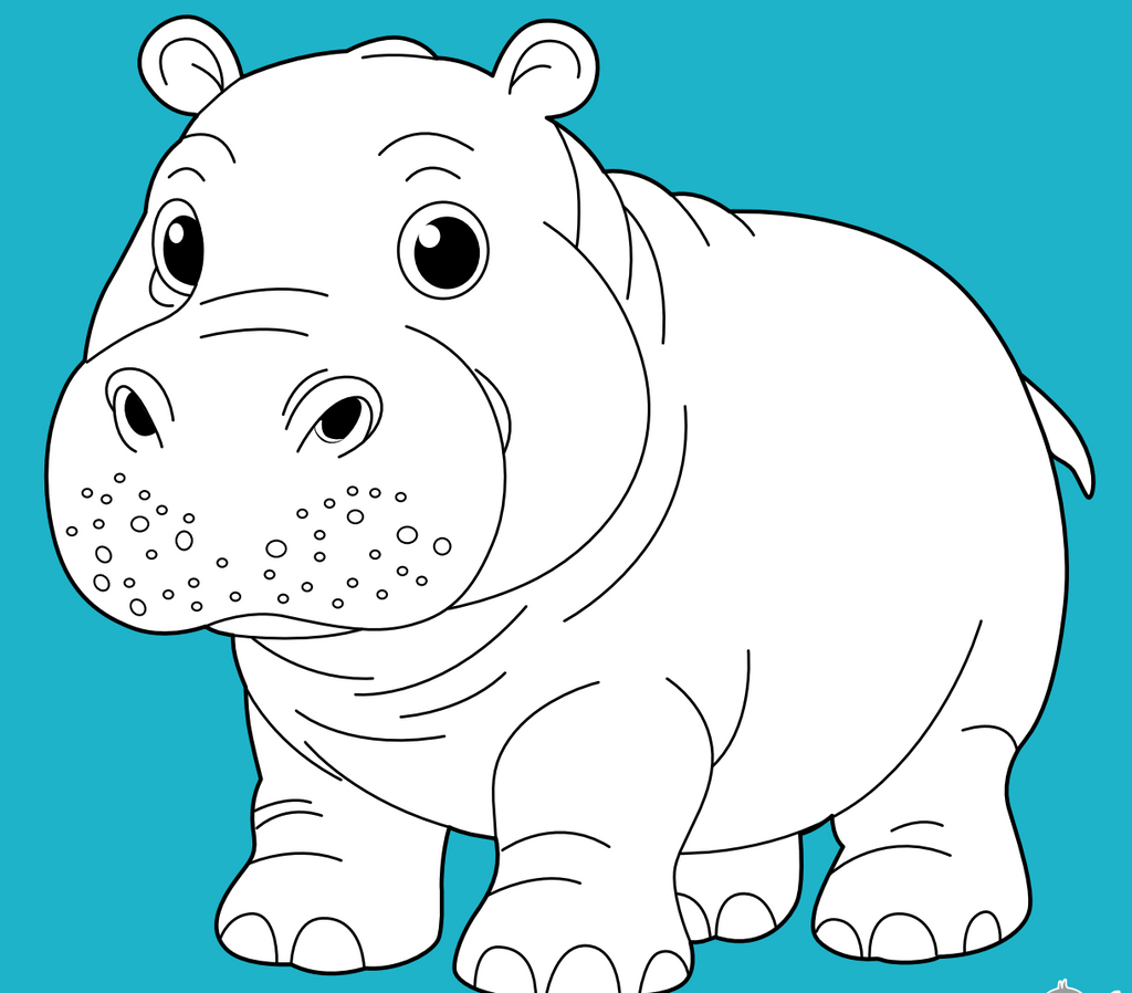 Wild Animals Coloring Book